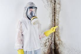 Best Biohazard Mold Removal in Republic, MO